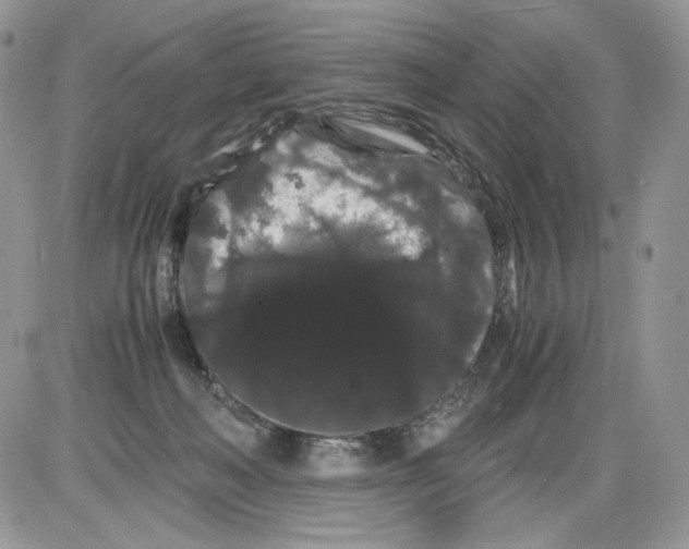 X0000086090222200704202224