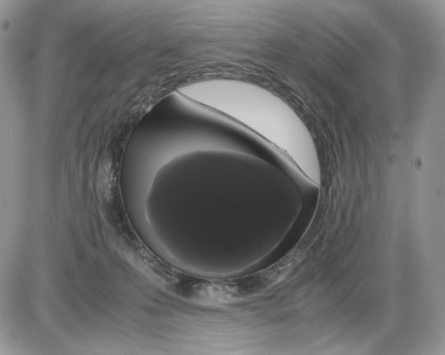 X0000086090223200704202224