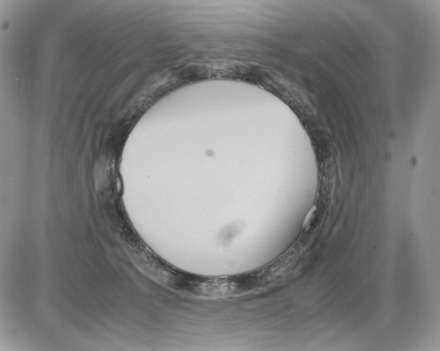 X0000086090225200704202224