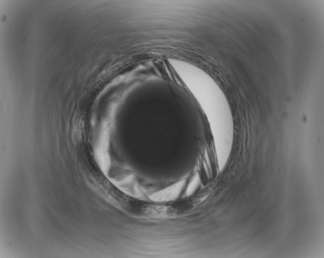 X0000086090227200704202224