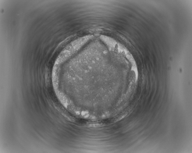 X0000086090228200704202224