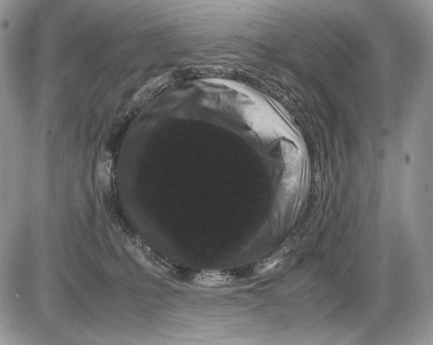 X0000086090231200704202224