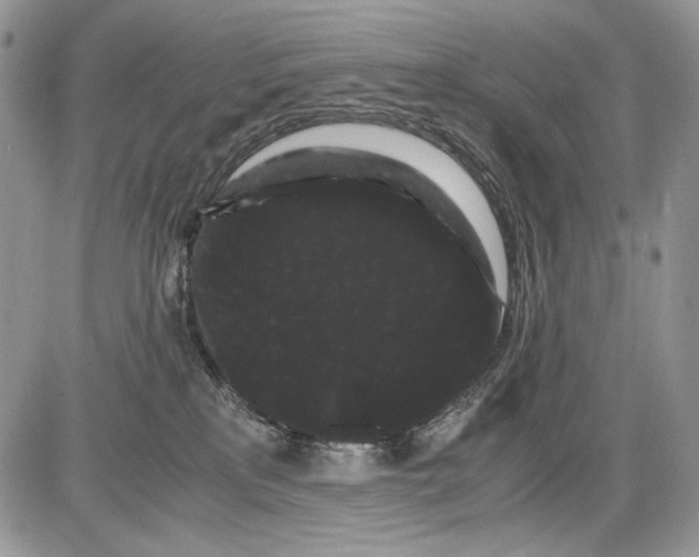 X0000086090233200704202224