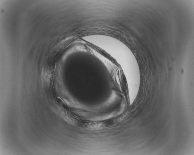 X0000086090235200704202224