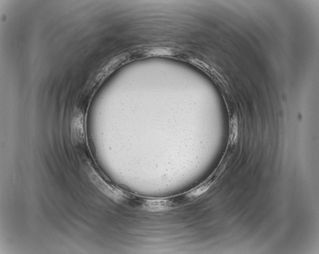 X0000086090238200704202224