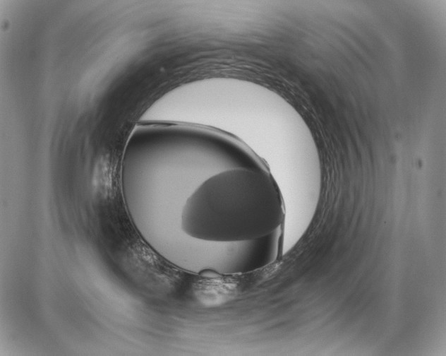 X0000086090239200704202224