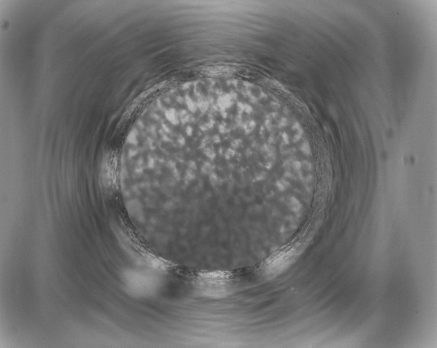 X0000086090240200704202224