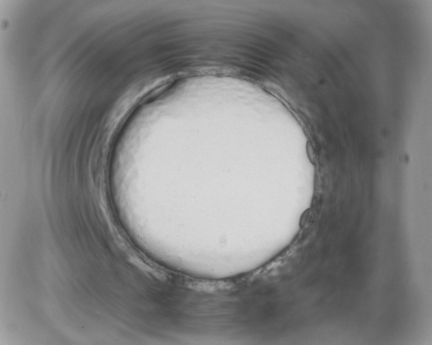 X0000086090241200704202223