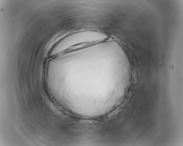 X0000086090242200704202223