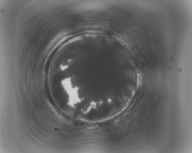 X0000086090243200704202223