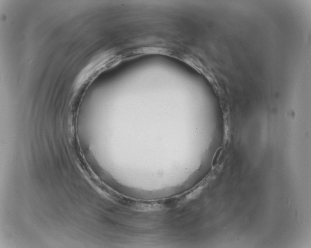 X0000086090245200704202223