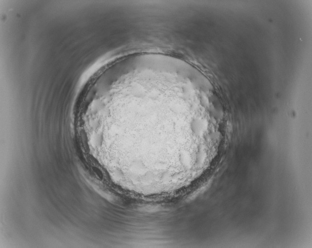 X0000086090246200704202223