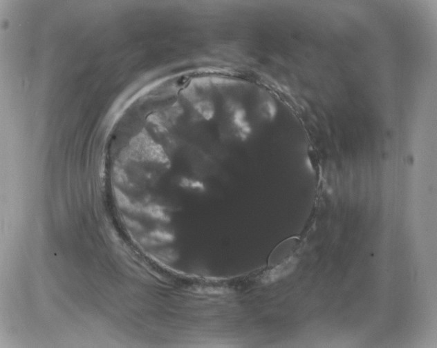 X0000086090247200704202223