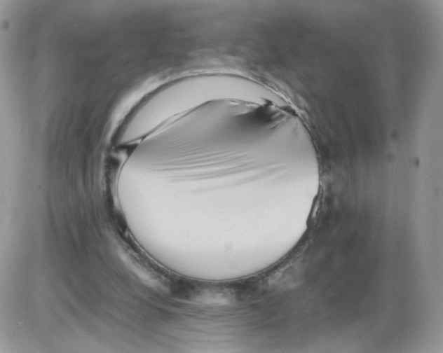 X0000086090248200704202223