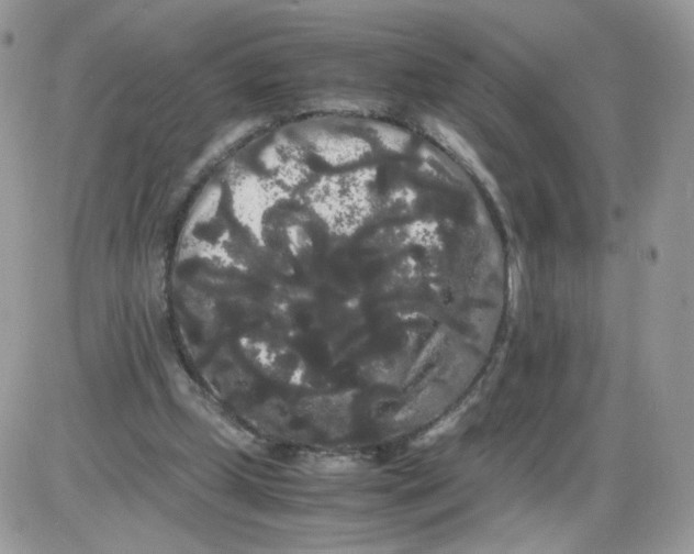 X0000086090249200704202223