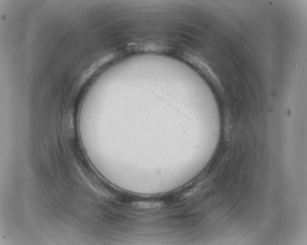 X0000086090251200704202223