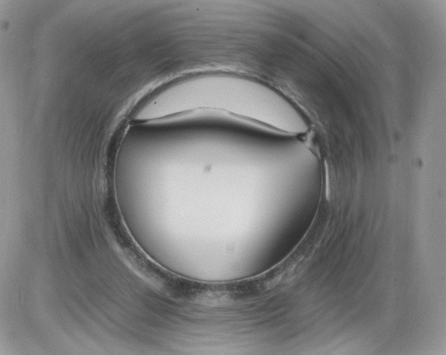 X0000086090252200704202223