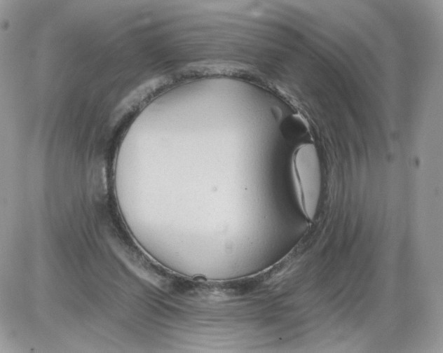 X0000086090254200704202223