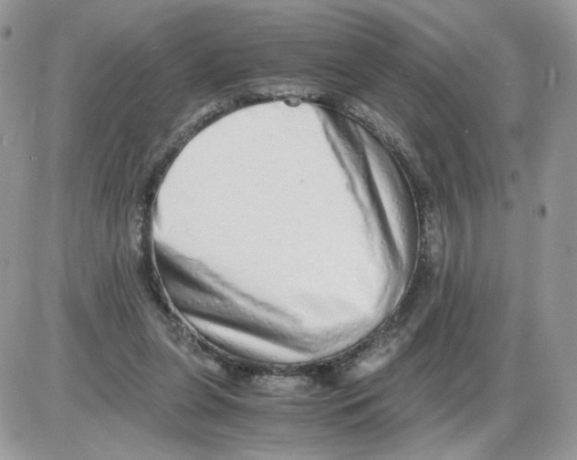 X0000086090255200704202223