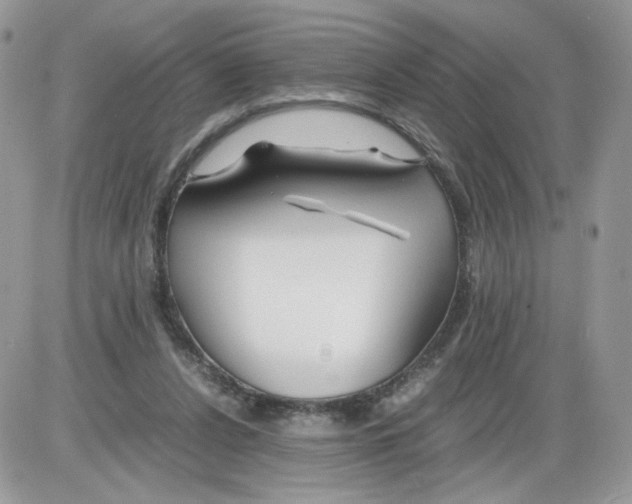 X0000086090256200704202223