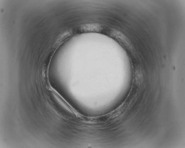 X0000086090259200704202223