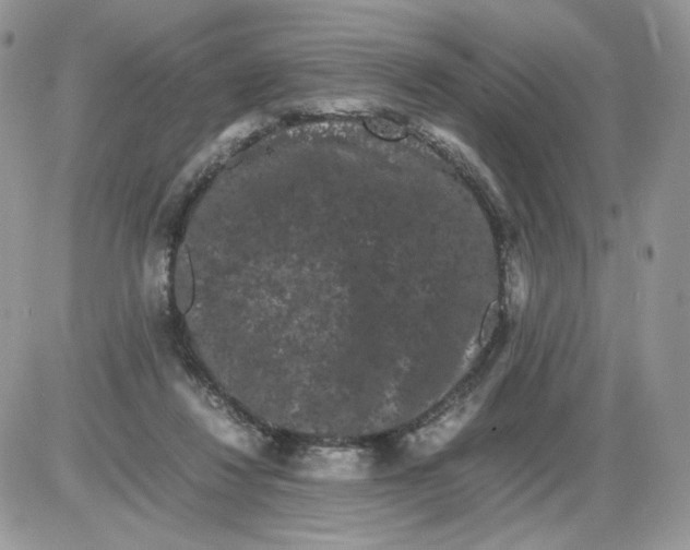 X0000086090260200704202223