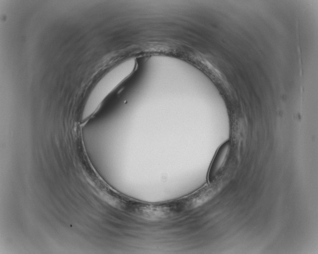 X0000086090261200704202223