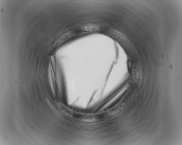 X0000086090263200704202223