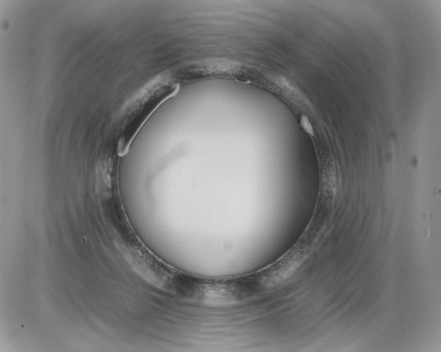 X0000086090264200704202223