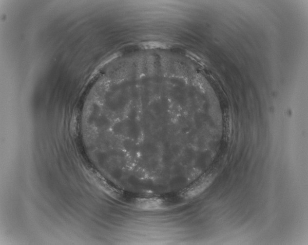 X0000086090266200704202223