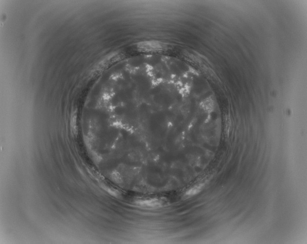 X0000086090267200704202223