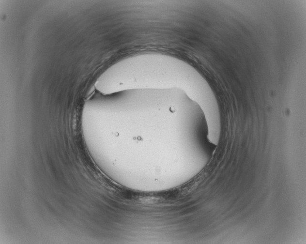 X0000086090268200704202223