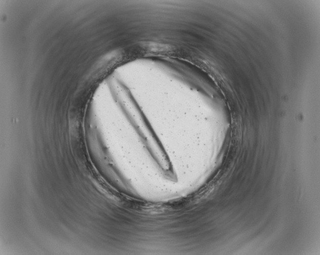 X0000086090269200704202223