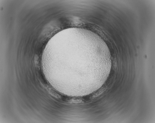 X0000086090270200704202223