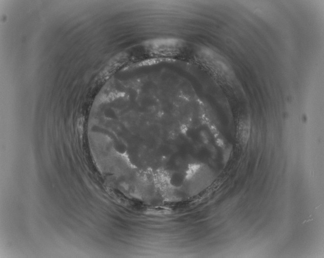 X0000086090271200704202223