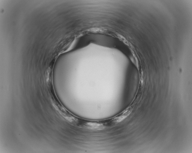 X0000086090272200704202223