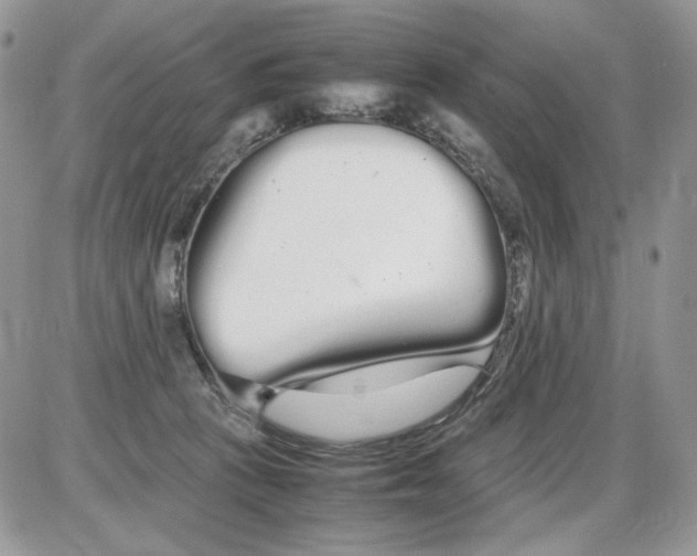 X0000086090273200704202223