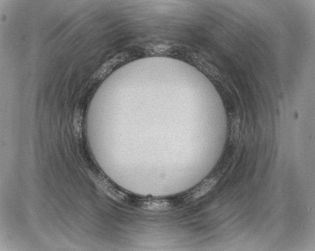 X0000086090274200704202223