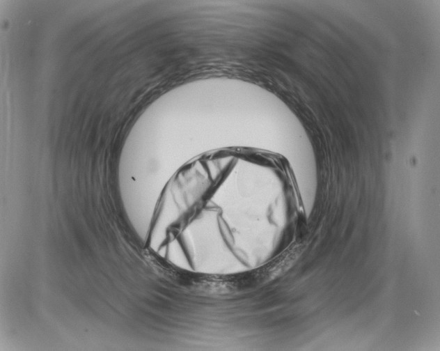 X0000086090276200704202223