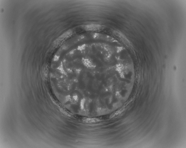 X0000086090277200704202223