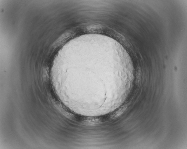 X0000086090278200704202223