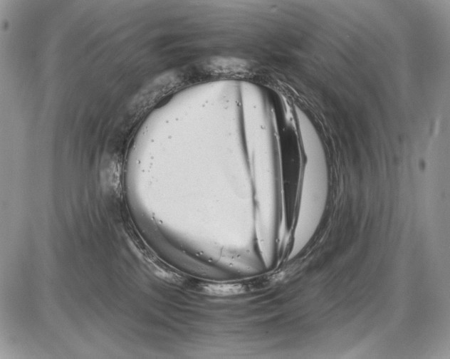 X0000086090281200704202224