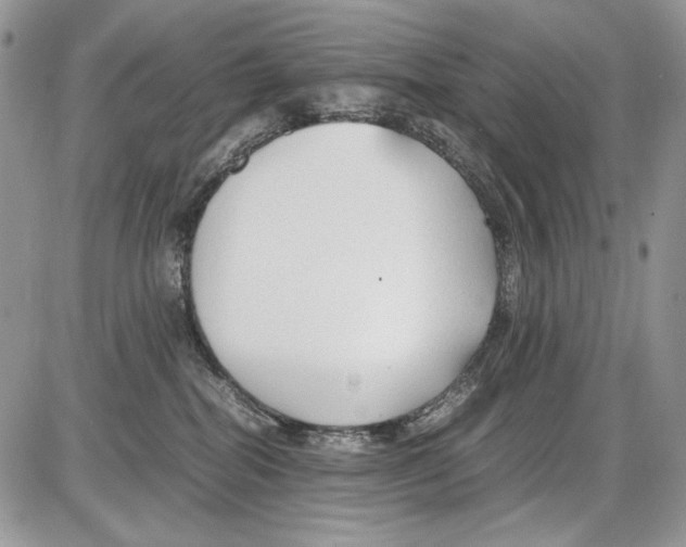 X0000086090282200704202224