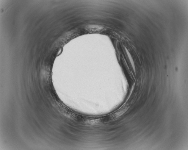 X0000086090283200704202224