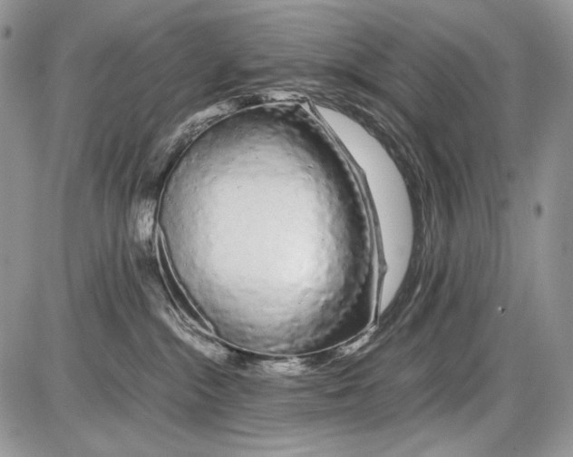 X0000086090284200704202224