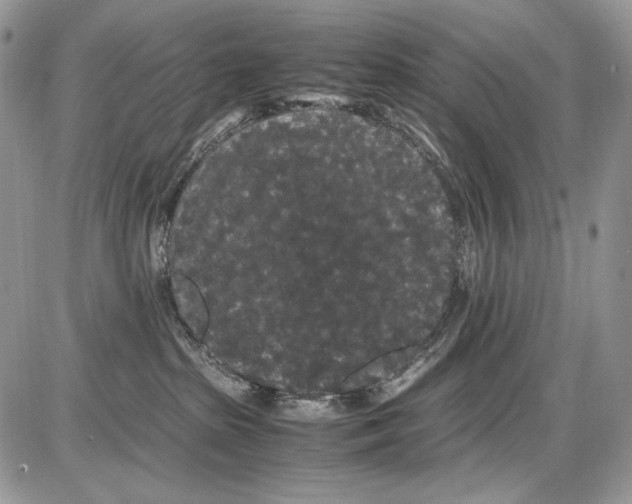 X0000086090285200704202224