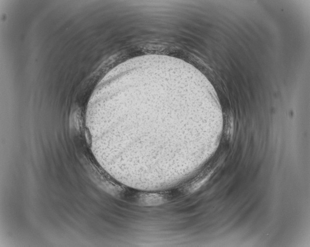 X0000086090287200704202224