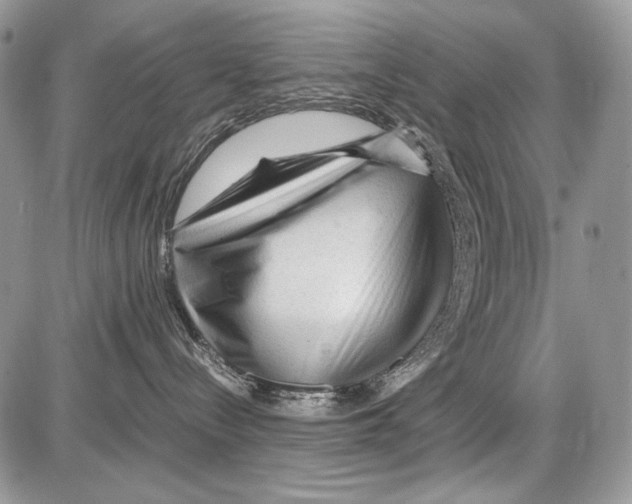 X0000086090288200704202224