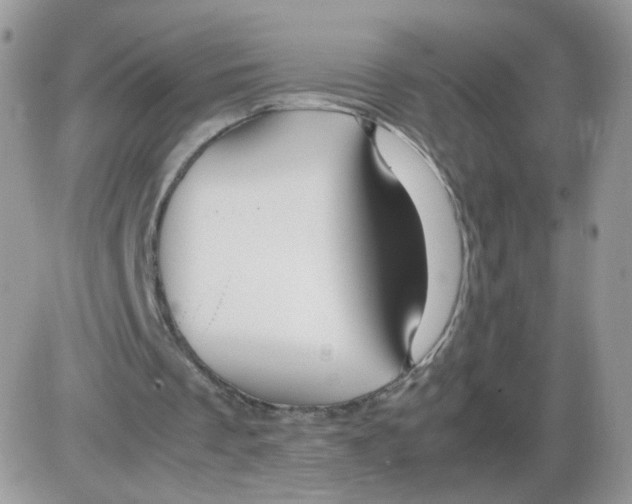 X0000086090289200704202223