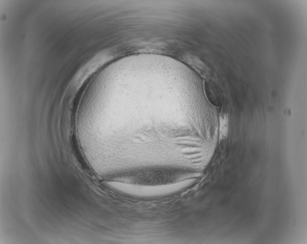 X0000086090291200704202223